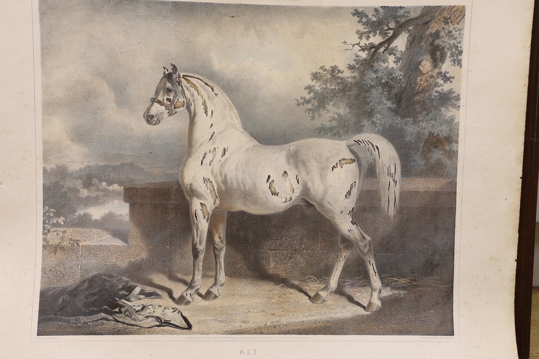 After Dedreux, two equine lithographs, ‘Alexander’ and ‘Ali’, 56 x 67cm